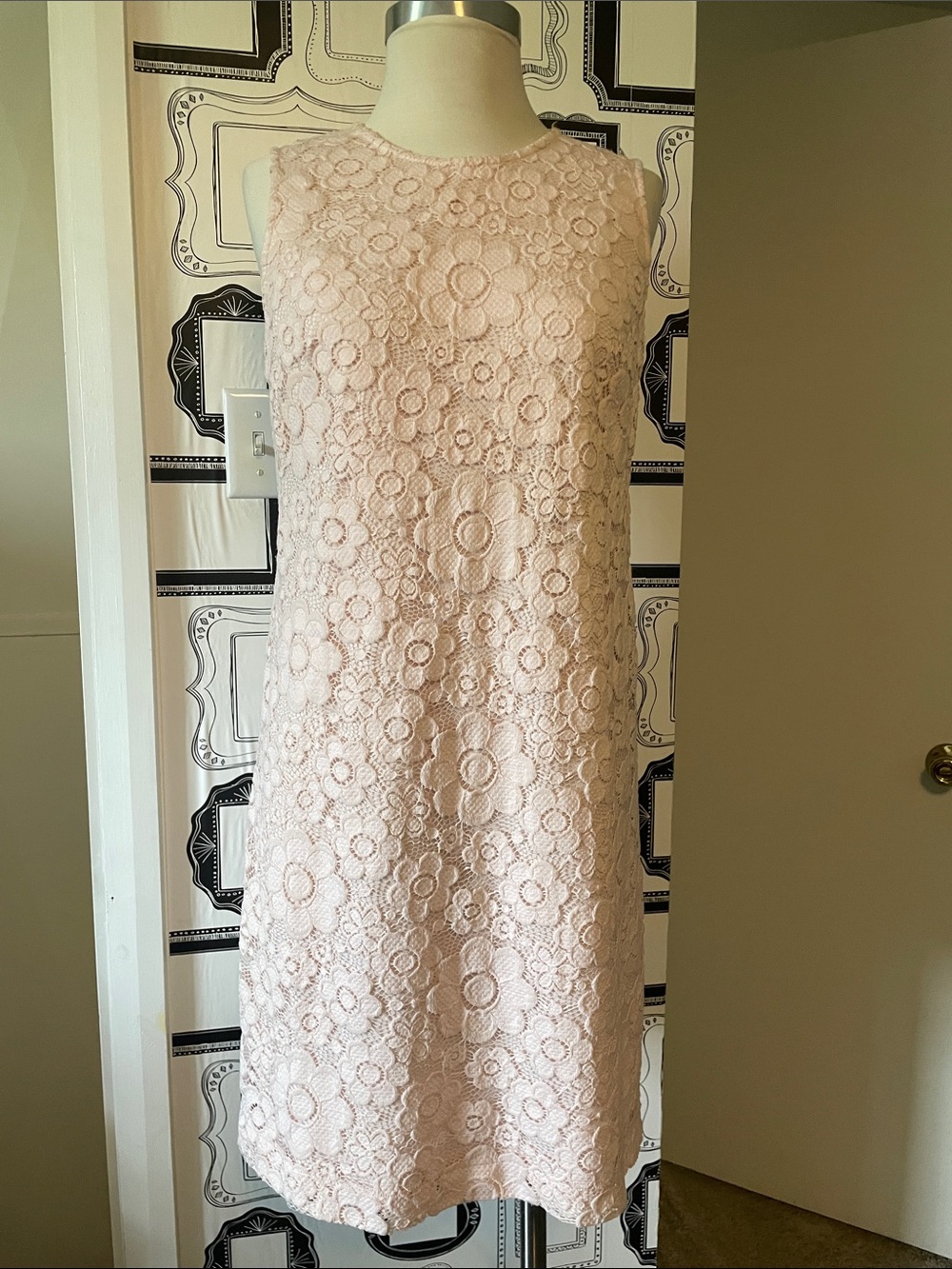 Sleeveless Lace Mini Dress in Light Pink